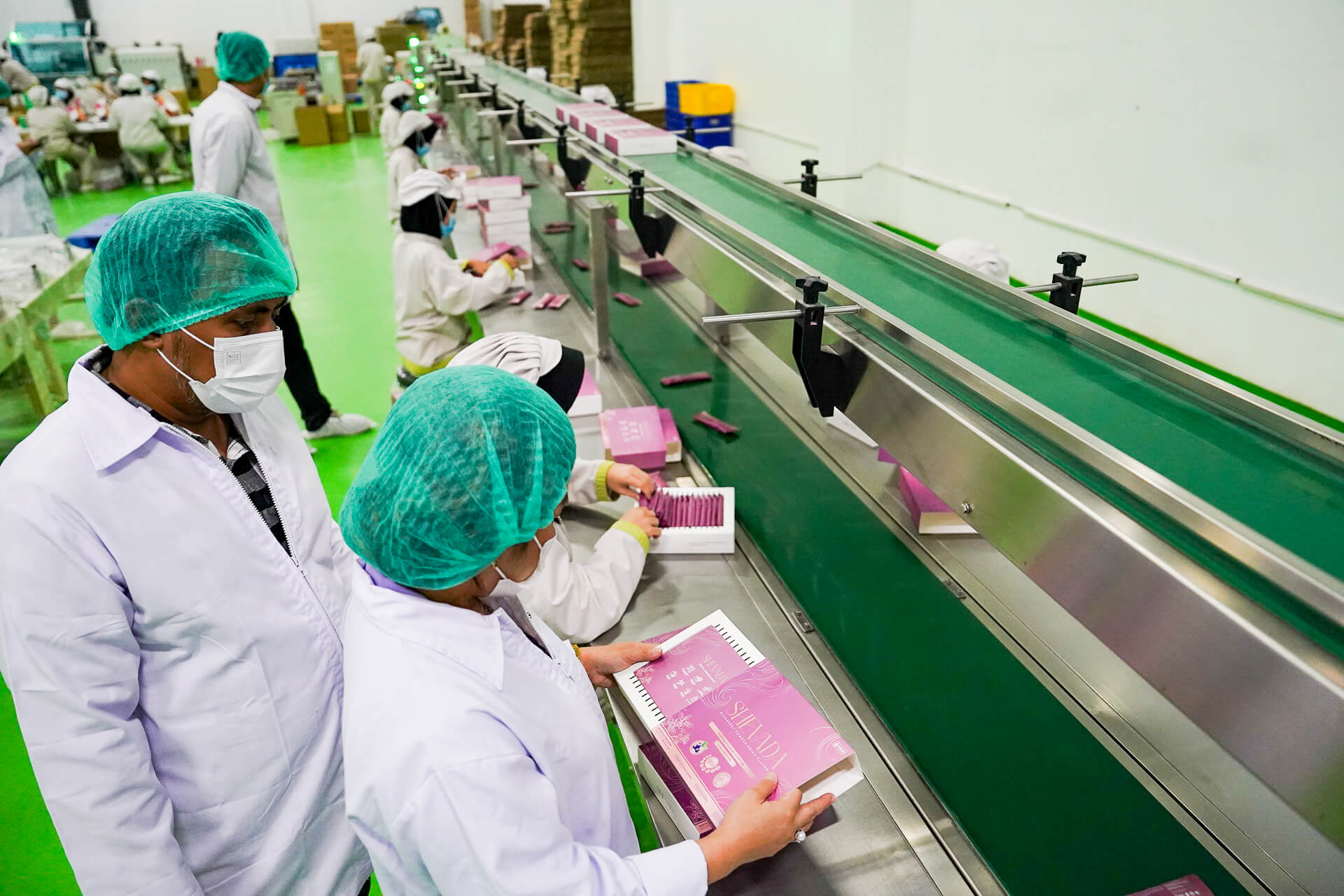 Proses Pembuatan Shevada Collagen Drink